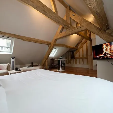Les Toits Du Vieux Marche - Apartment Rouen
